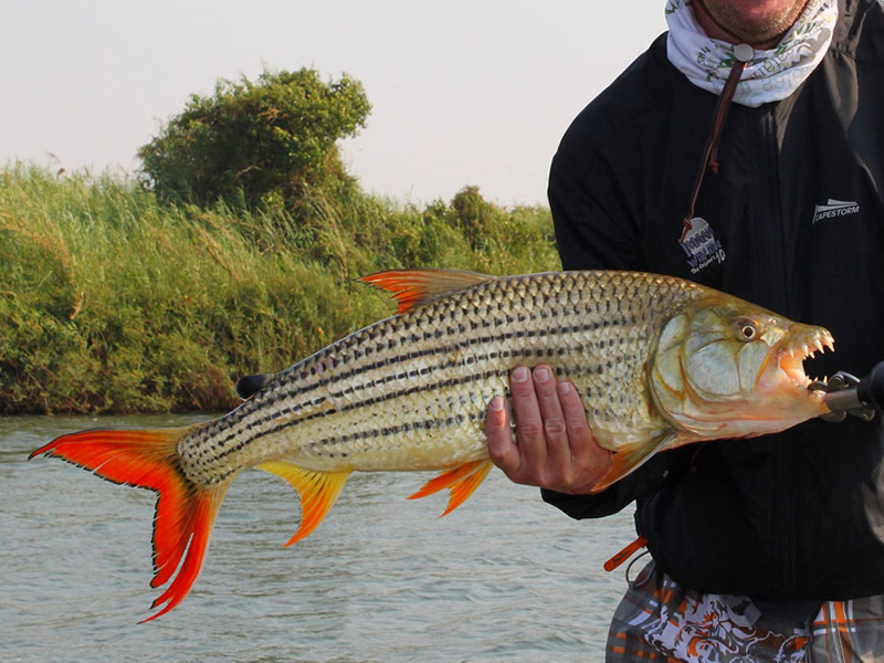 Рыбалка на реке Замбези